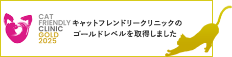 キャットフレンドリークリニックのシルバーレベルを取得しました