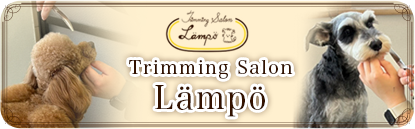Triminngu Salon Lampo