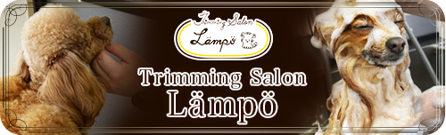 Triminngu Salon Lampo